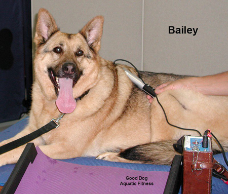 Laser Therapy