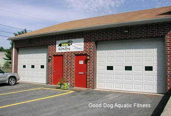 Good Dog Aquatic Fitness